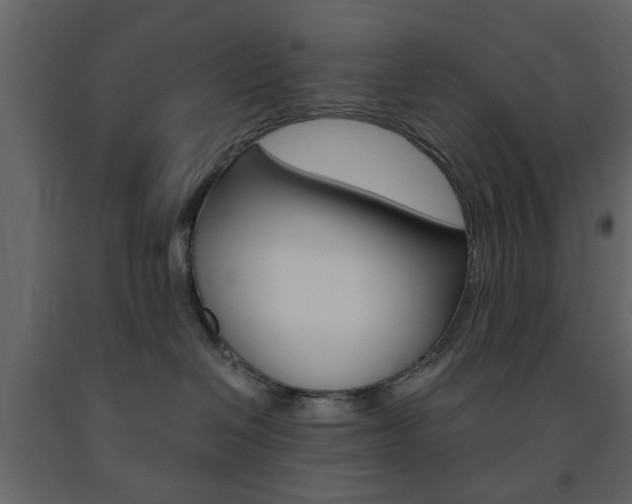 X0000091660286200708230958