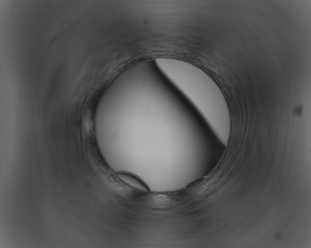 X0000091660287200708230958