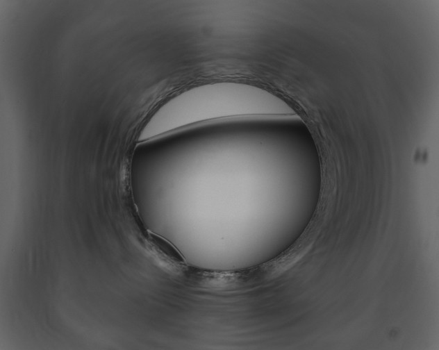 X0000091660288200708230958