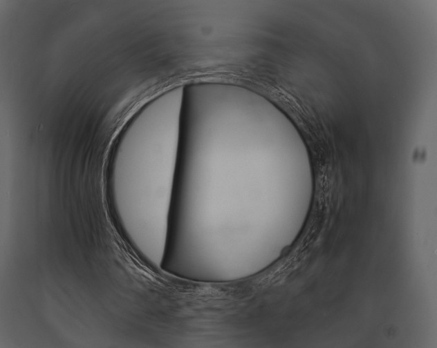 X0000091660290200708230957
