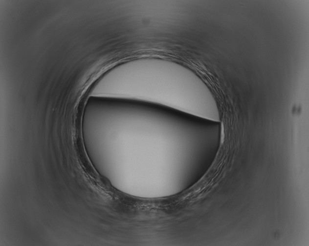 X0000091660291200708230957