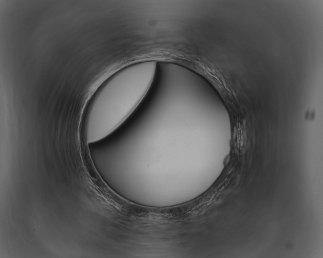 X0000091660292200708230957