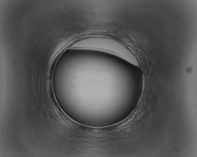 X0000091660293200708230957
