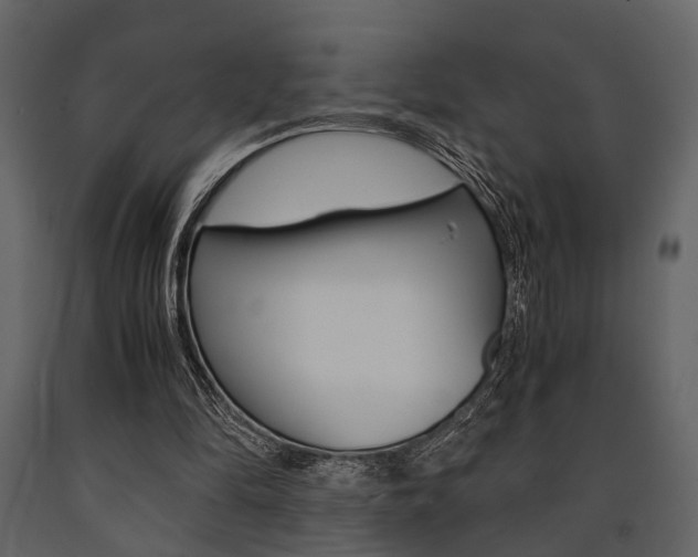 X0000091660294200708230957