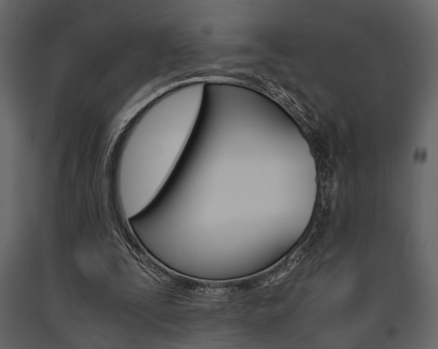 X0000091660295200708230957