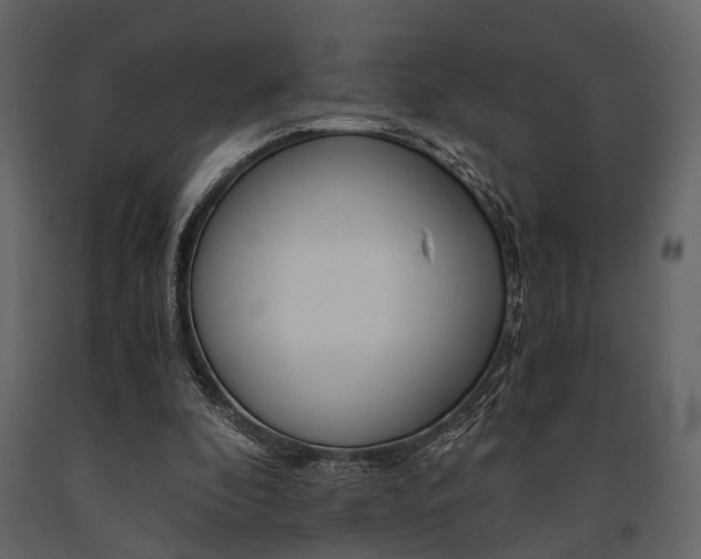 X0000091660296200708230957