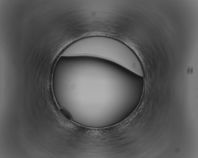 X0000091660297200708230957