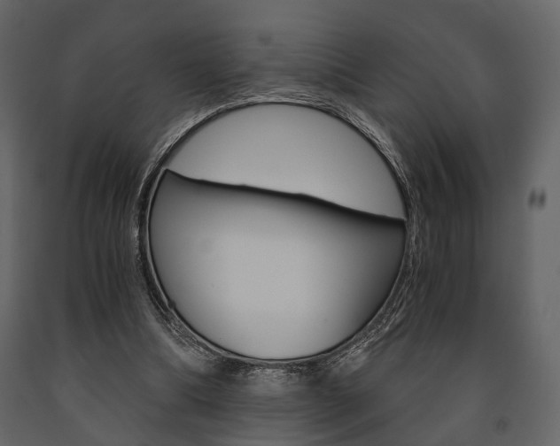 X0000091660298200708230957