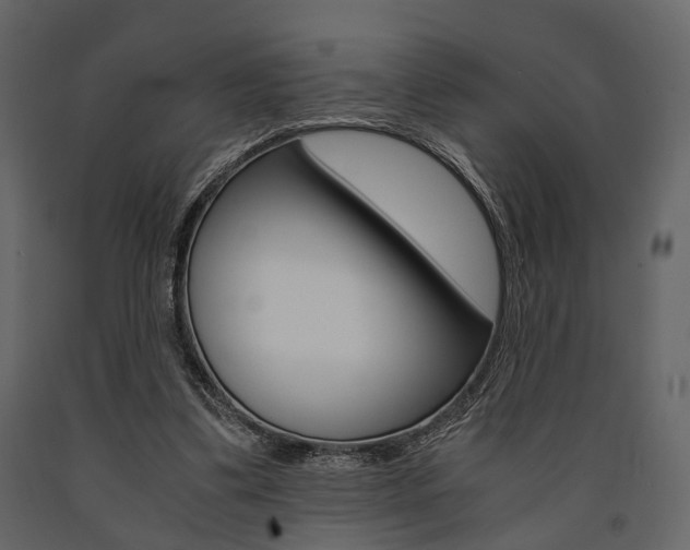 X0000091660299200708230957