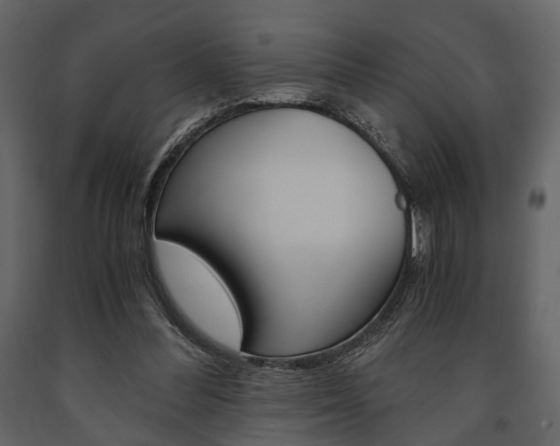 X0000091660300200708230957