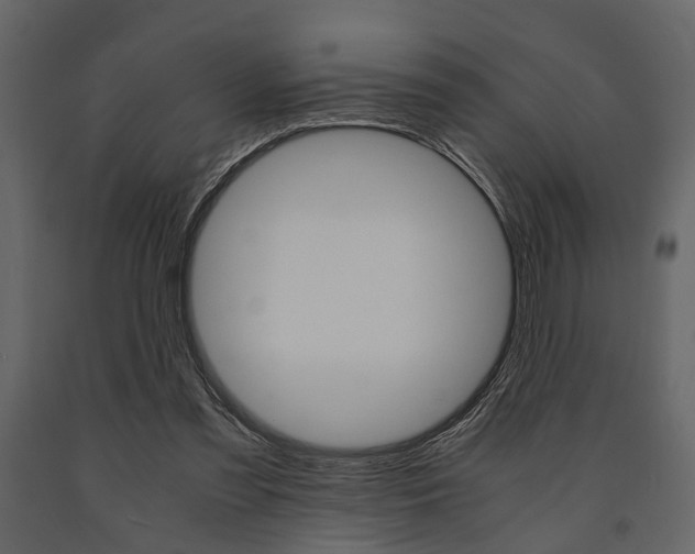 X0000091660301200708230957