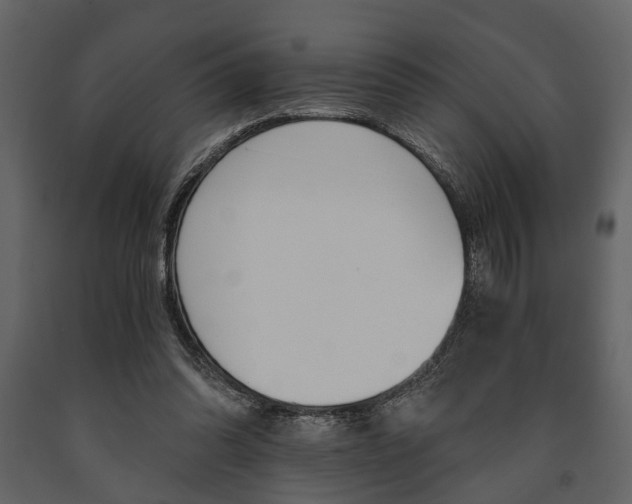 X0000091660302200708230957