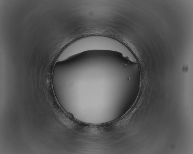 X0000091660305200708230957