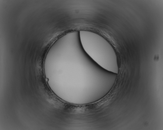 X0000091660306200708230957