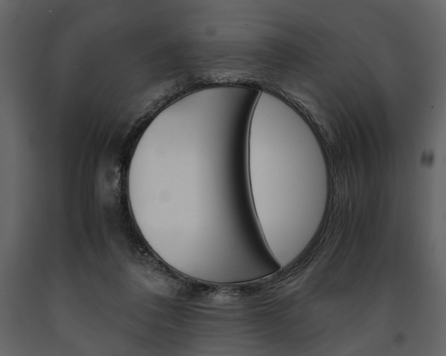X0000091660308200708230957