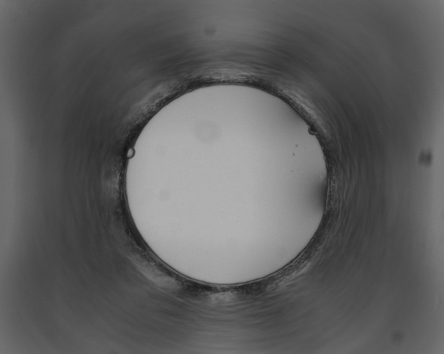X0000091660309200708230957