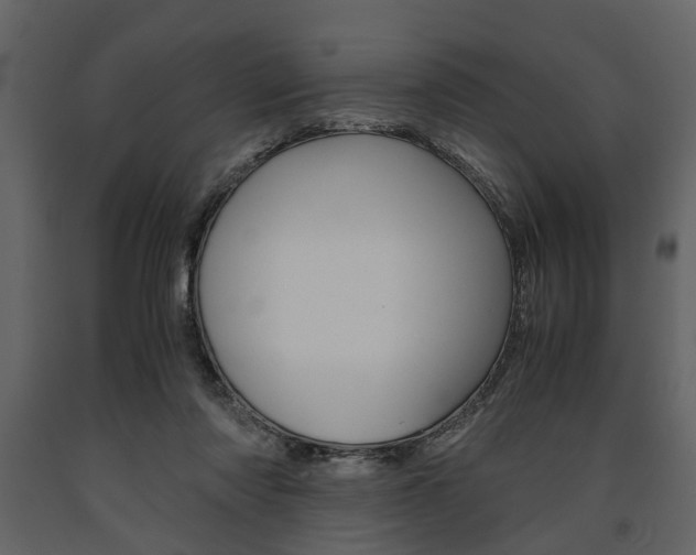 X0000091660310200708230957