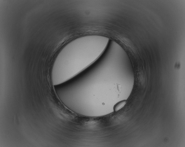 X0000091660312200708230957