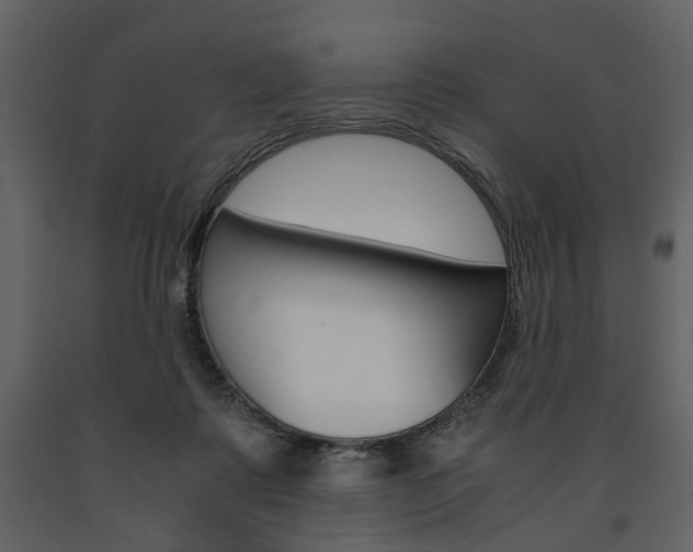 X0000091660315200708230957