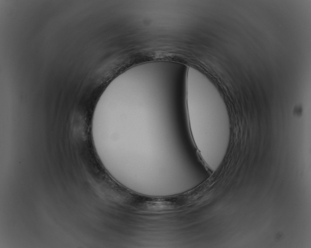 X0000091660316200708230957