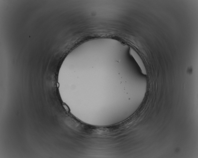 X0000091660317200708230957