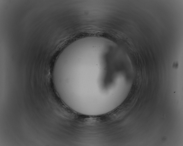 X0000091660320200708230957