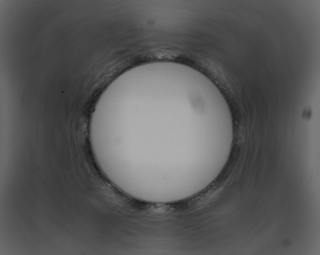 X0000091660321200708230957