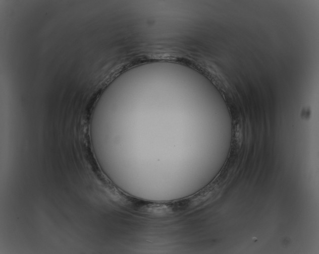 X0000091660322200708230957