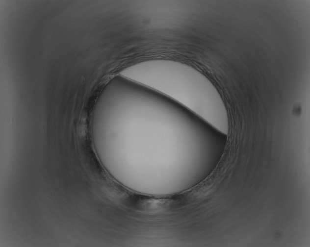 X0000091660323200708230957