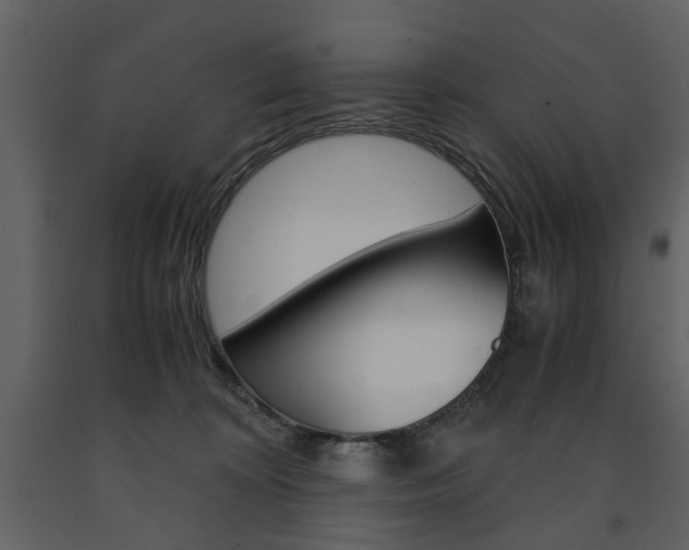 X0000091660324200708230957