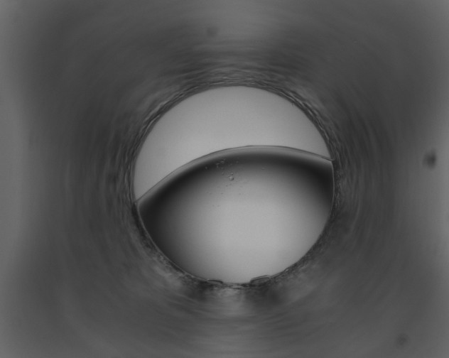 X0000091660325200708230957