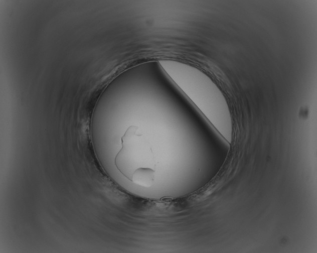 X0000091660329200708230957