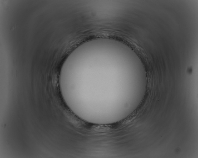 X0000091660331200708230956