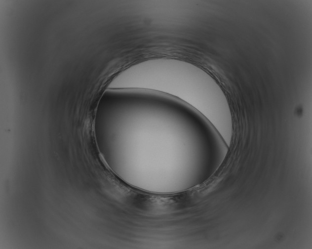 X0000091660333200708230956
