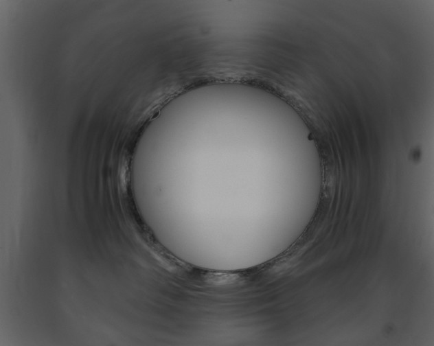 X0000091660334200708230956
