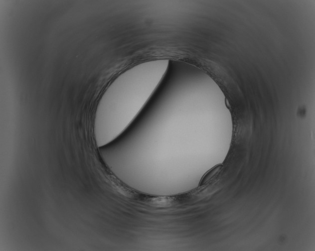 X0000091660335200708230956