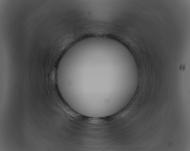 X0000091660336200708230956