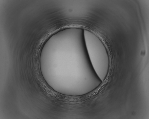 X0000091660337200708230956