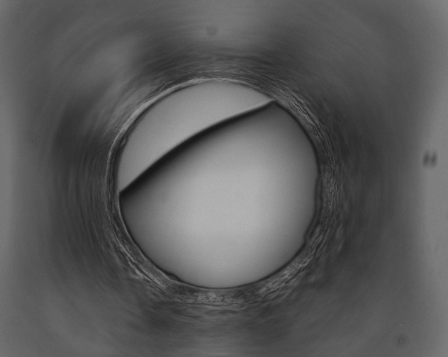 X0000091660338200708230956