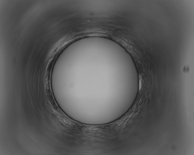 X0000091660339200708230956