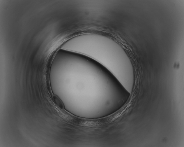 X0000091660341200708230956