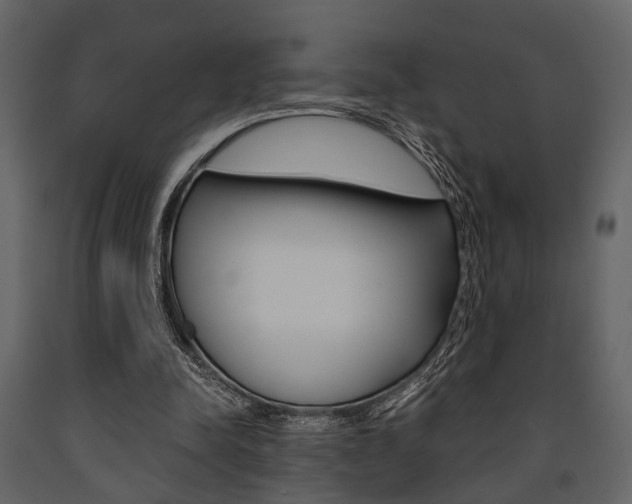 X0000091660342200708230956