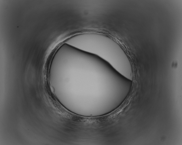 X0000091660343200708230956