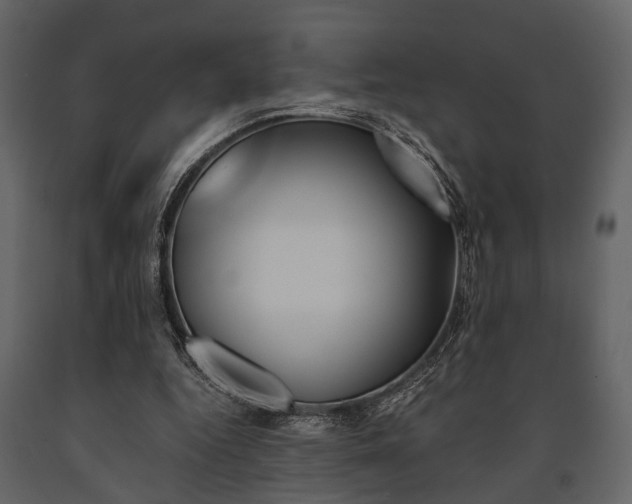 X0000091660344200708230956