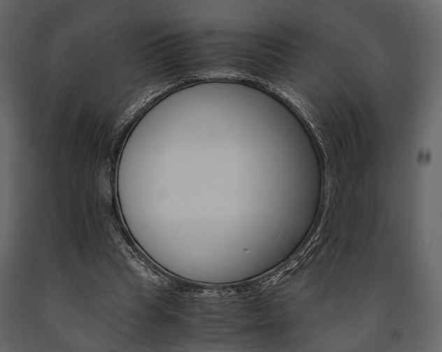 X0000091660345200708230956