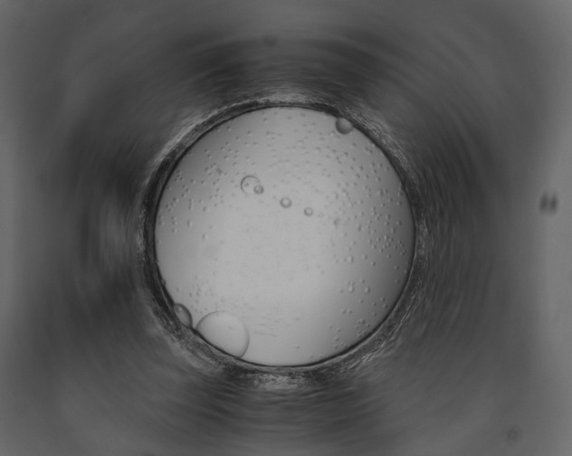 X0000091660347200708230956