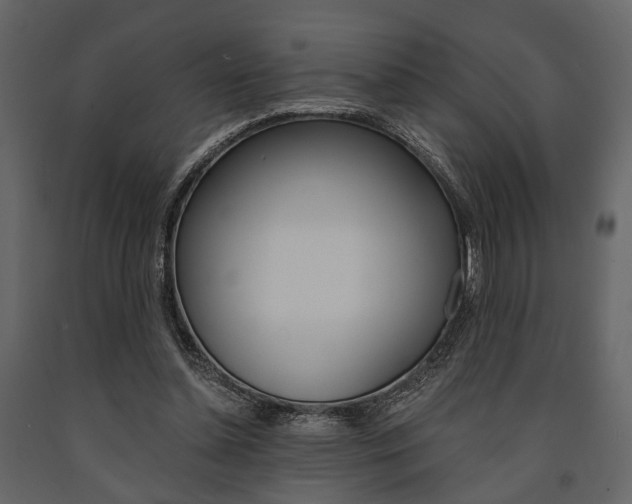 X0000091660348200708230956
