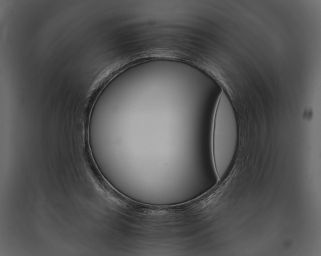 X0000091660349200708230956