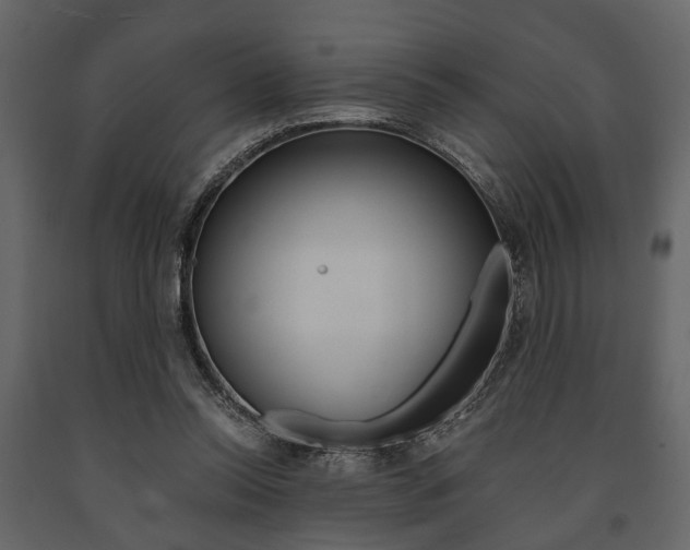 X0000091660350200708230956