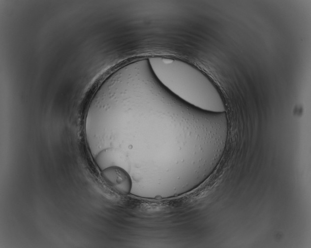 X0000091660351200708230956